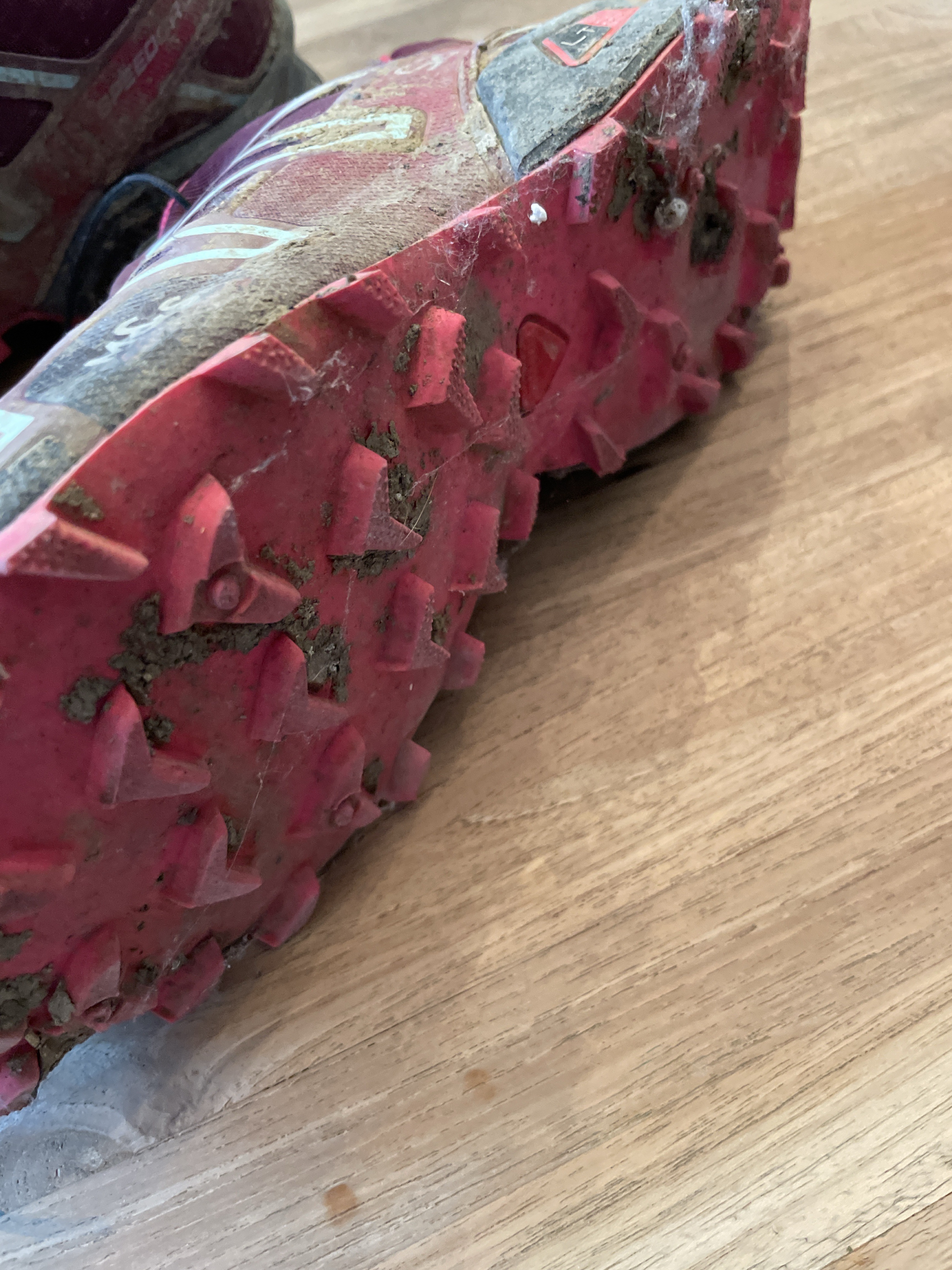 Salomon Speedcross 5 - Bild 2