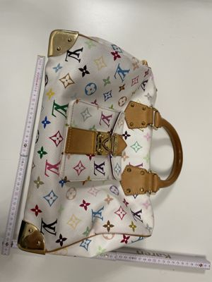 Speedy Multicolor Monogram (White)